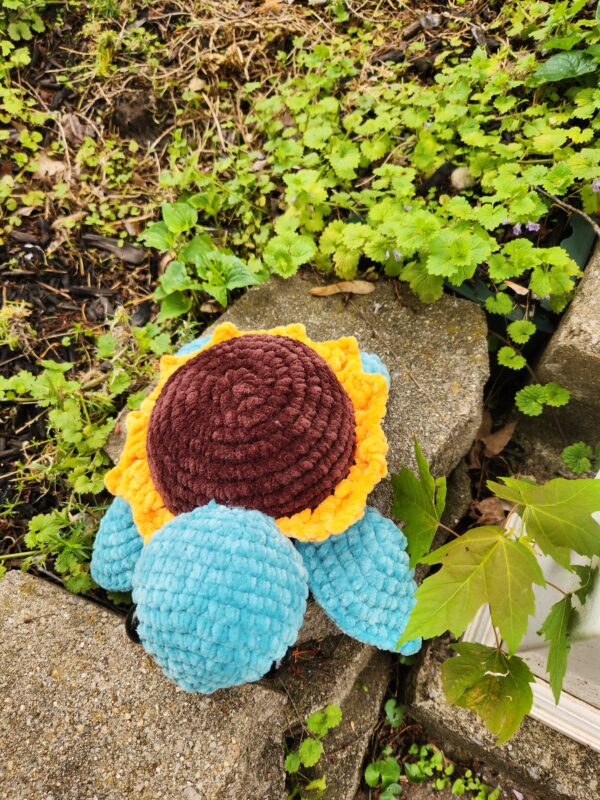 Sunflower Sea Turtle