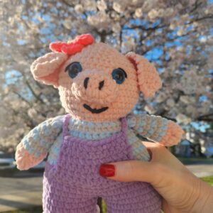 Pig Buddy