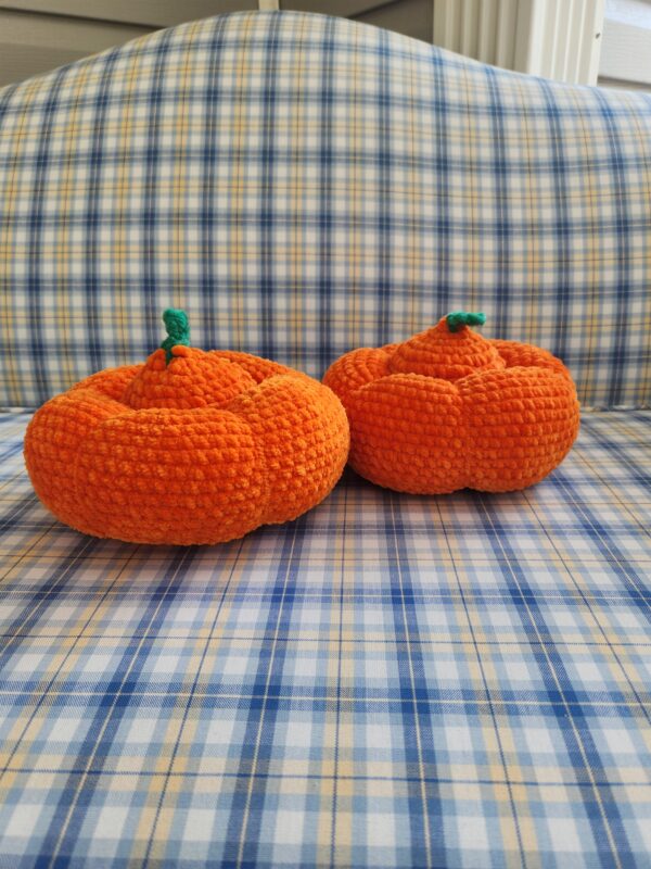 Pumpkin with a Secret - Image 2