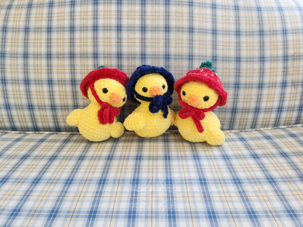 Strawberry Duck - Image 5