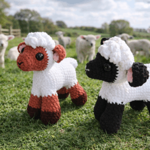 Black and white Lamb